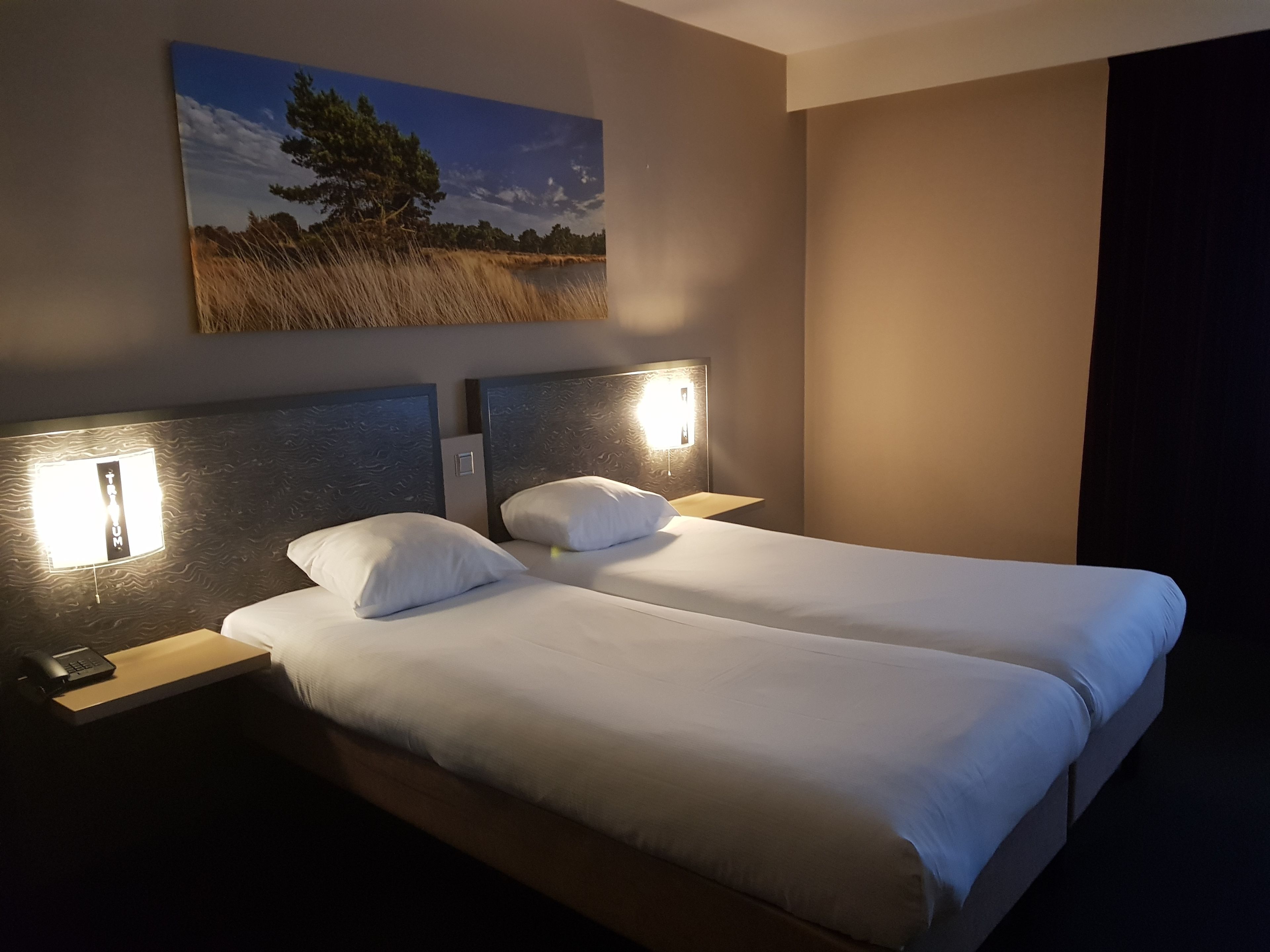 A hotel room with two beds, each with a headboard and bedside lamps. There is a painting on the wall above the beds.