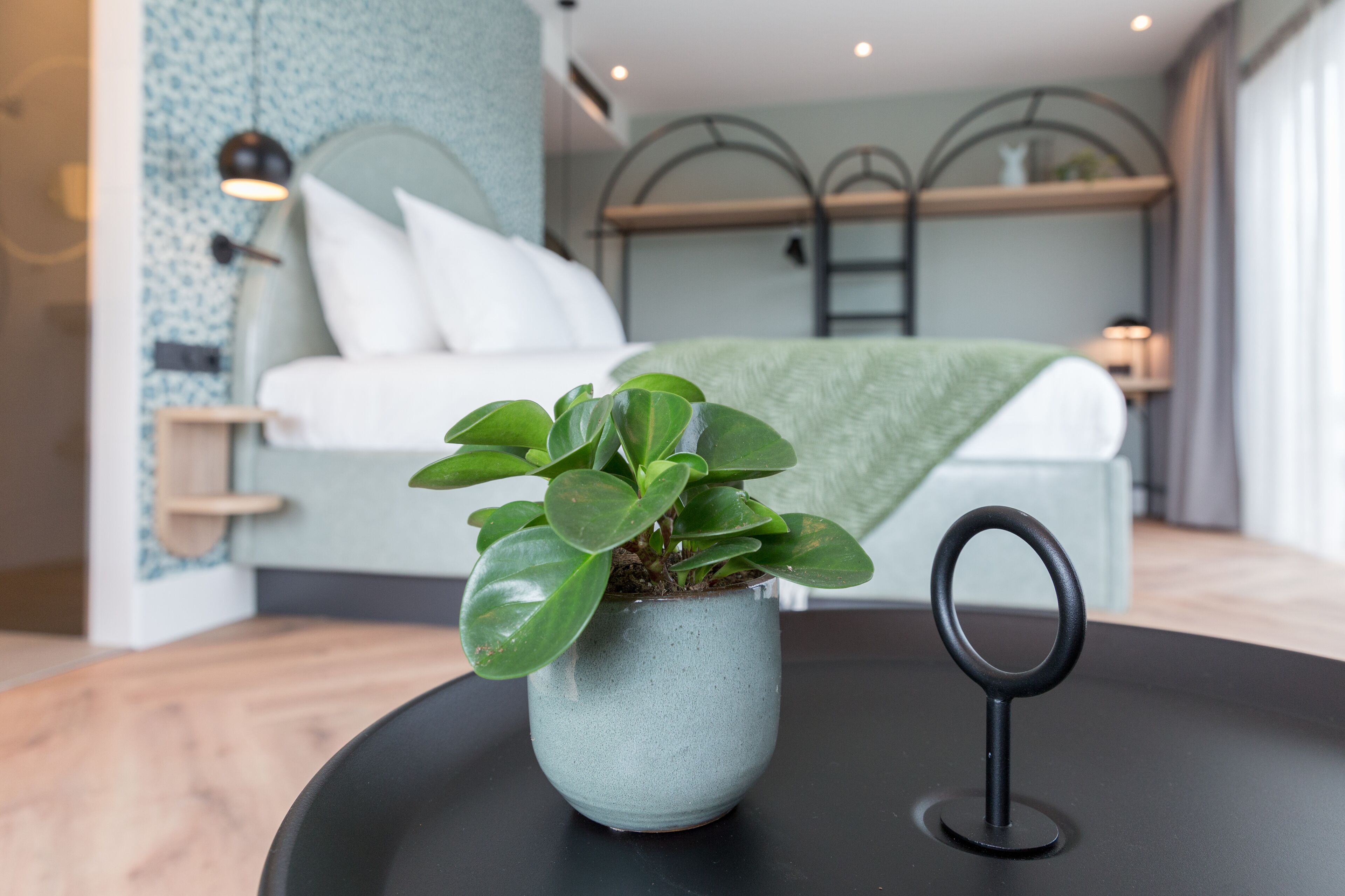 A modern room with a bed, a potted plant, and a black table with a ring.
