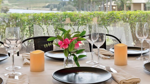 Mesa lista para comer con vistas a un viñedo y un edificio al fondo.