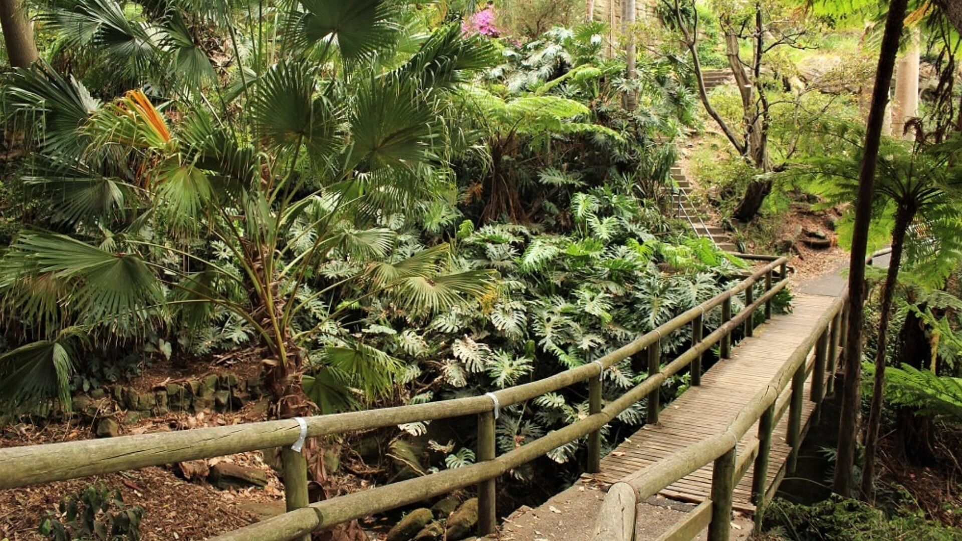 Park Regis Concierge Apartments — image 22