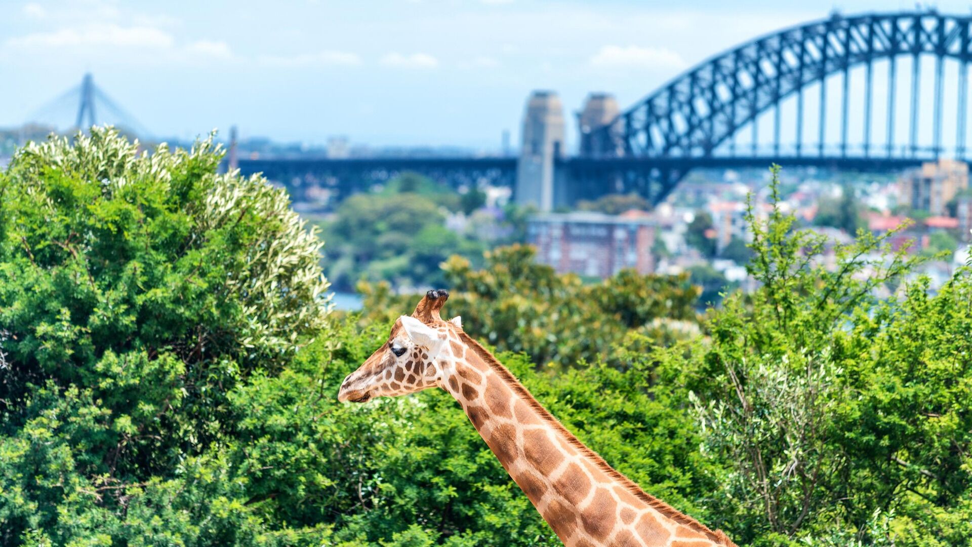 Park Regis Concierge Apartments — image 20