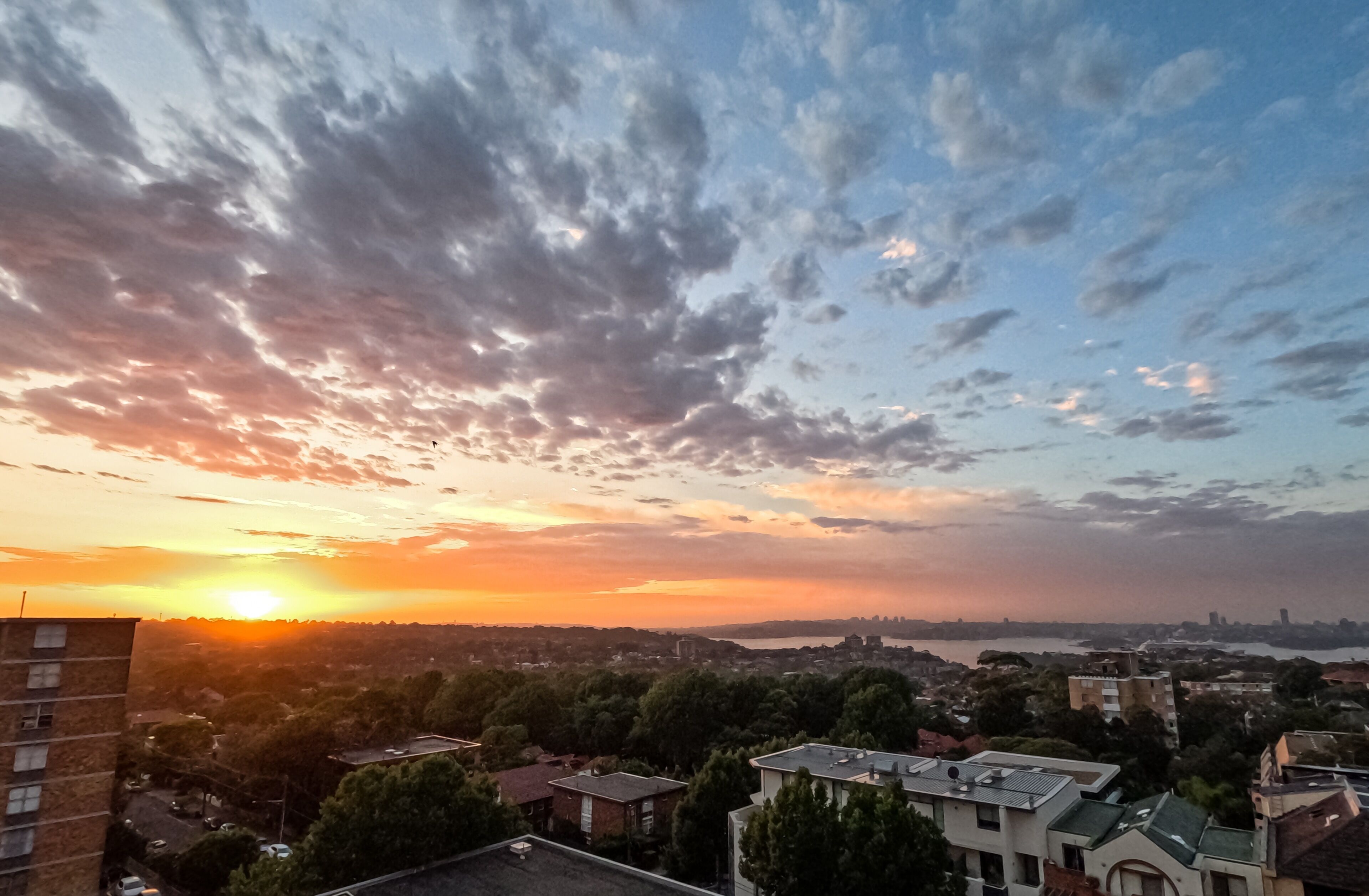 Atardecer sobre un paisaje urbano con edificios y árboles.