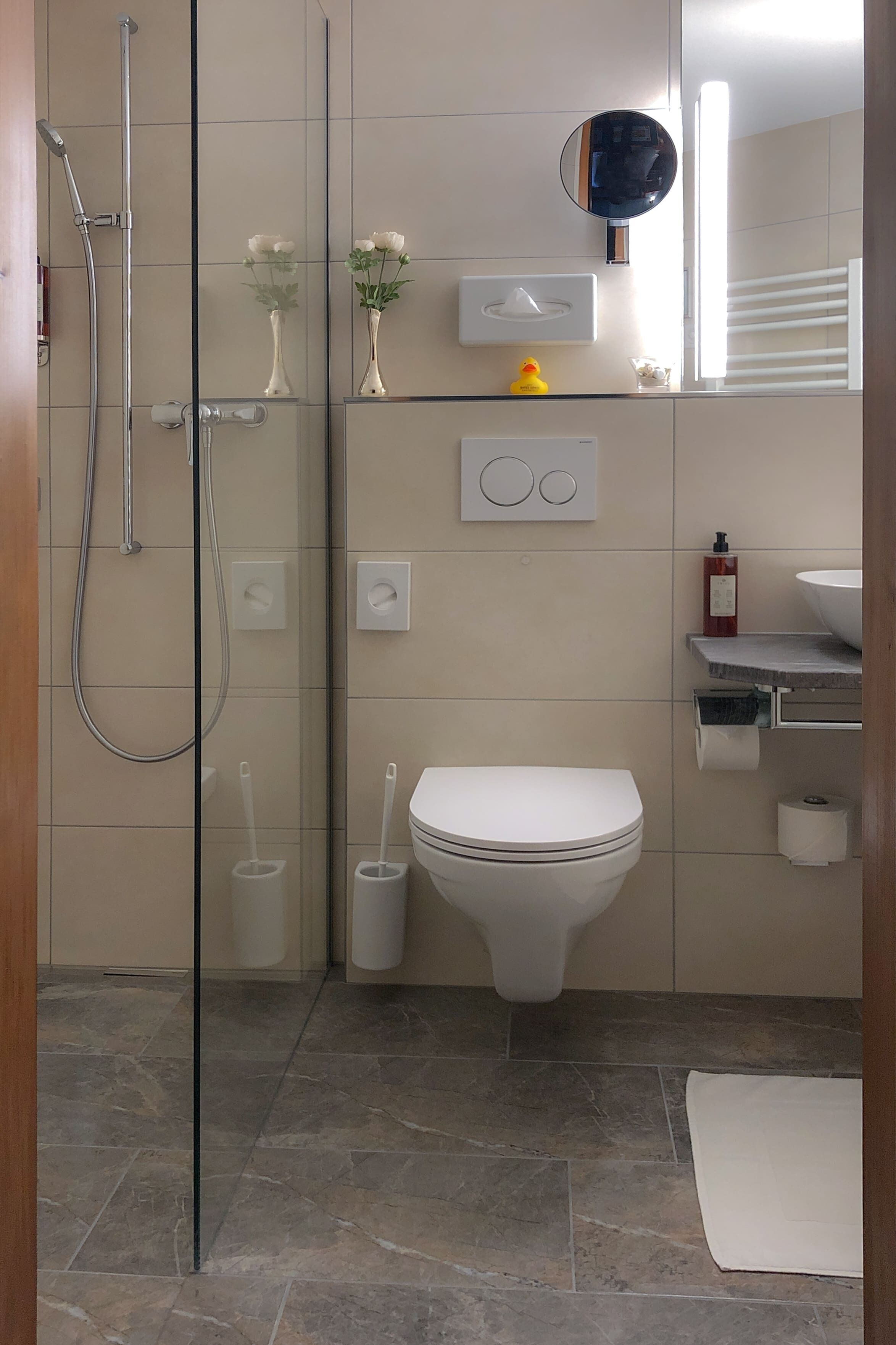 A modern bathroom with a glass shower enclosure, a toilet, a sink, and a mirror.