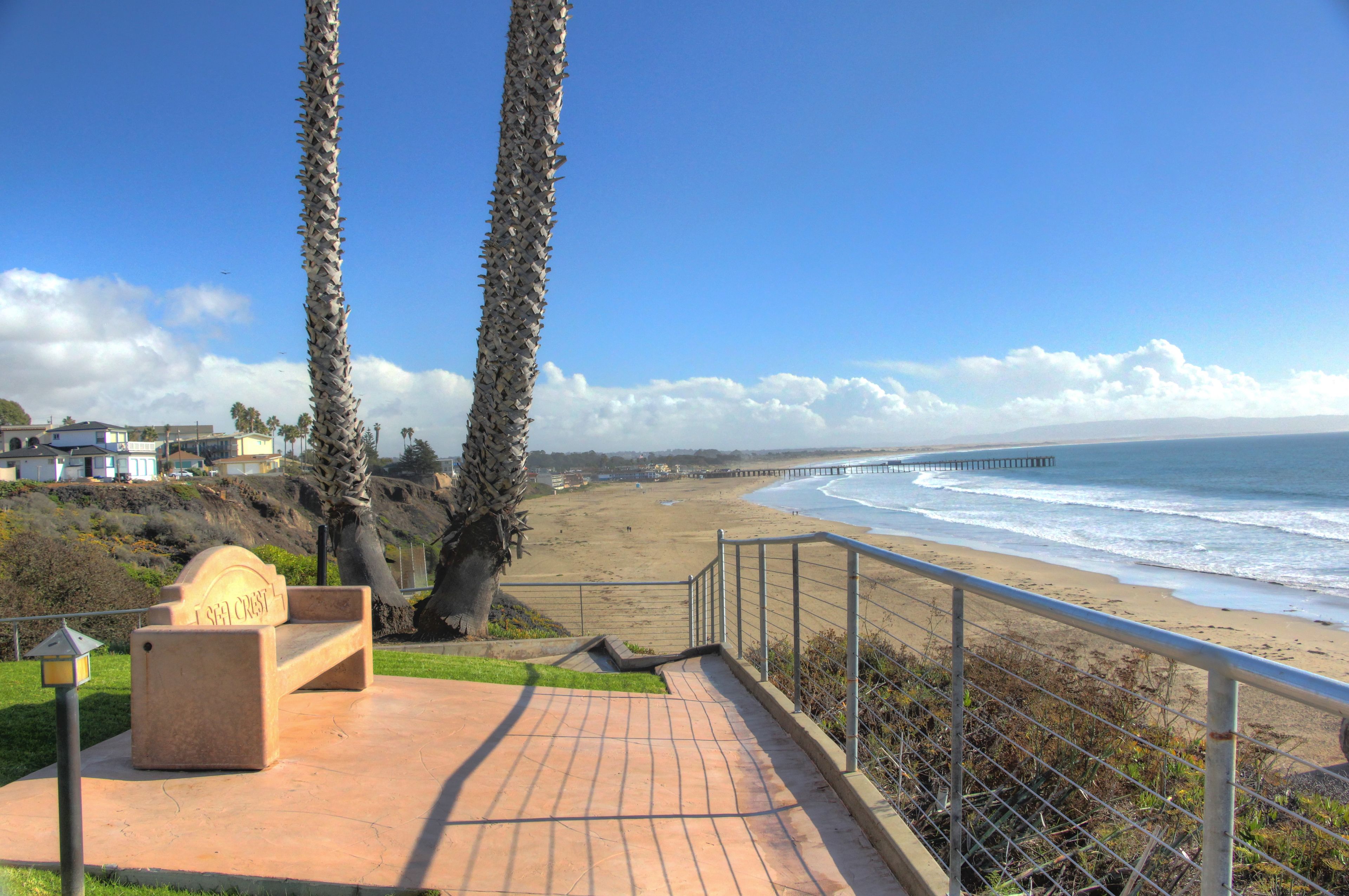 A coastal walkway with a bench, palm trees, and a view of the beach and ocean.