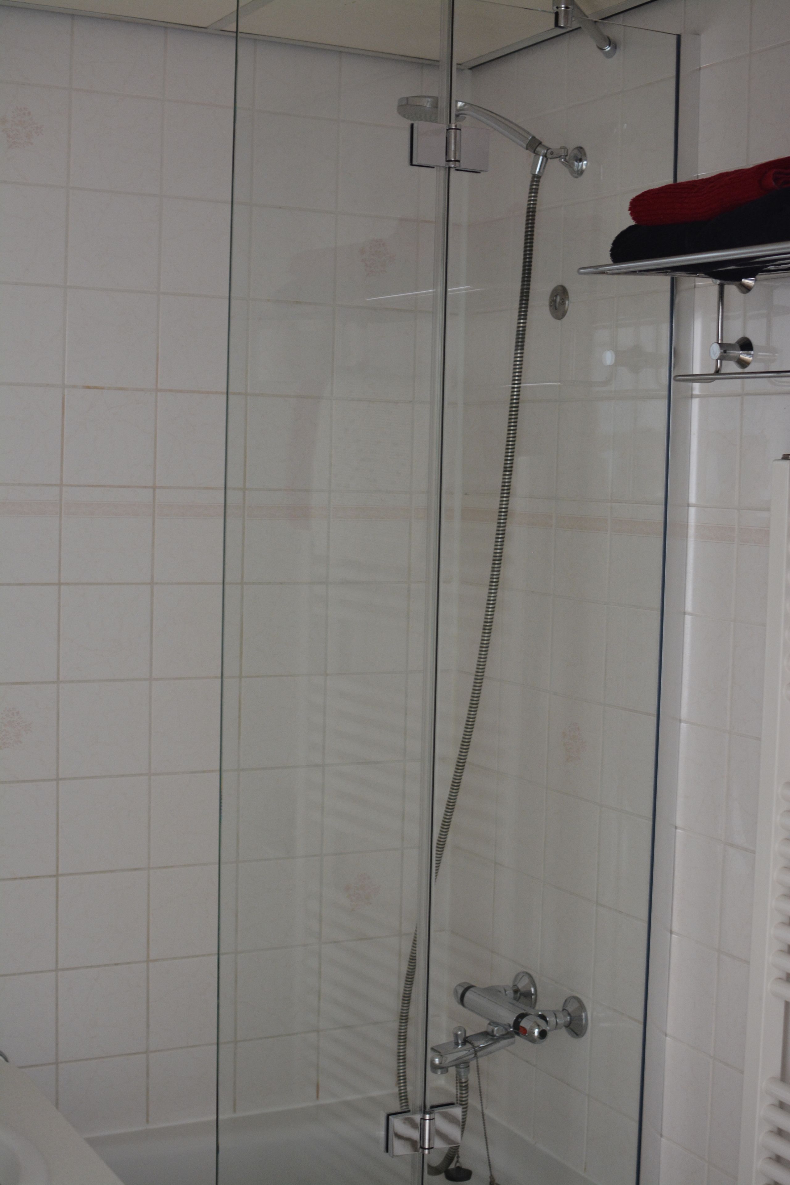 Eine begehbare Duschkabine mit Handbrause und Wandarmatur.