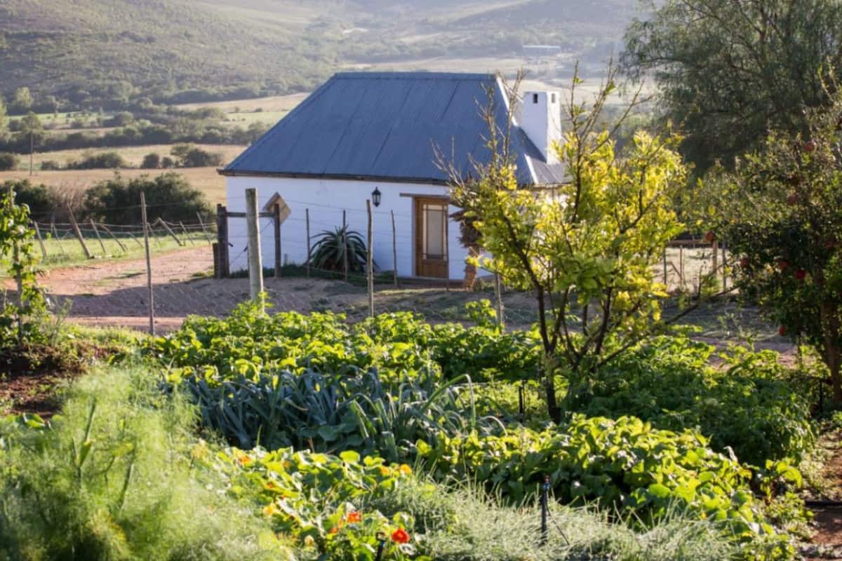 Un bâtiment blanc avec un toit foncé, entouré d’un jardin où poussent différentes espèces de plantes et délimité par une clôture.