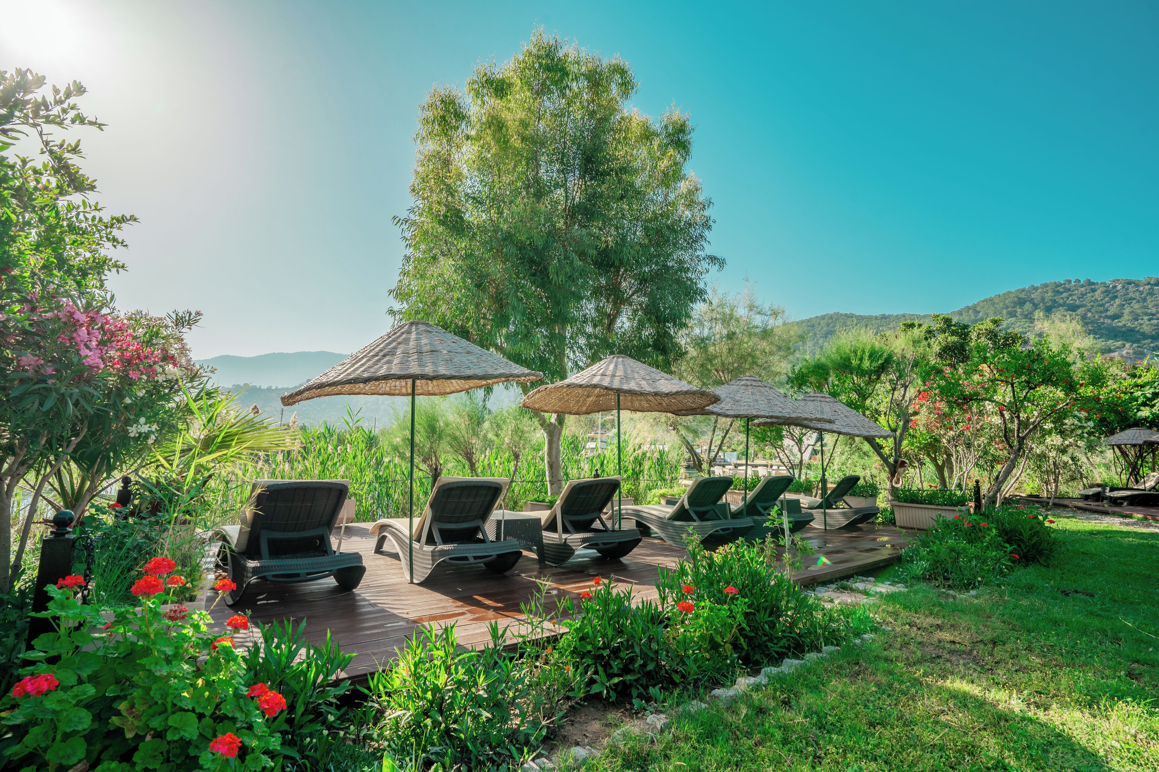 Une terrasse dotée de chaises longues et de parasols, entourée de verdure et offrant une vue sur les collines.