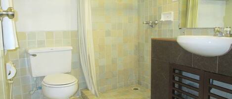 Un baño con inodoro, ducha, lavamanos y espejo.