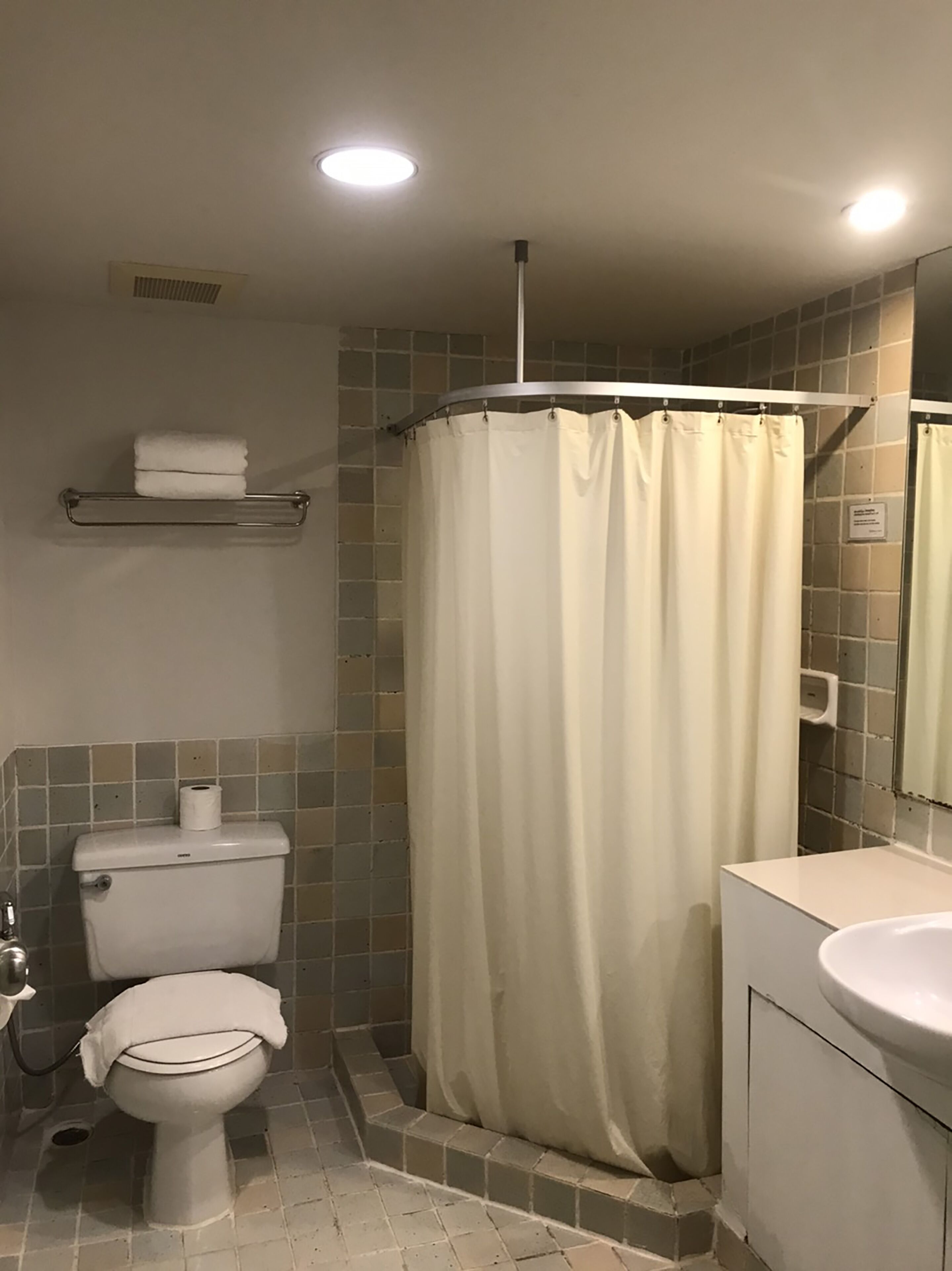 Une salle de bain équipée de toilettes, d’un lavabo, d’un rideau de douche et d’un porte-serviettes.