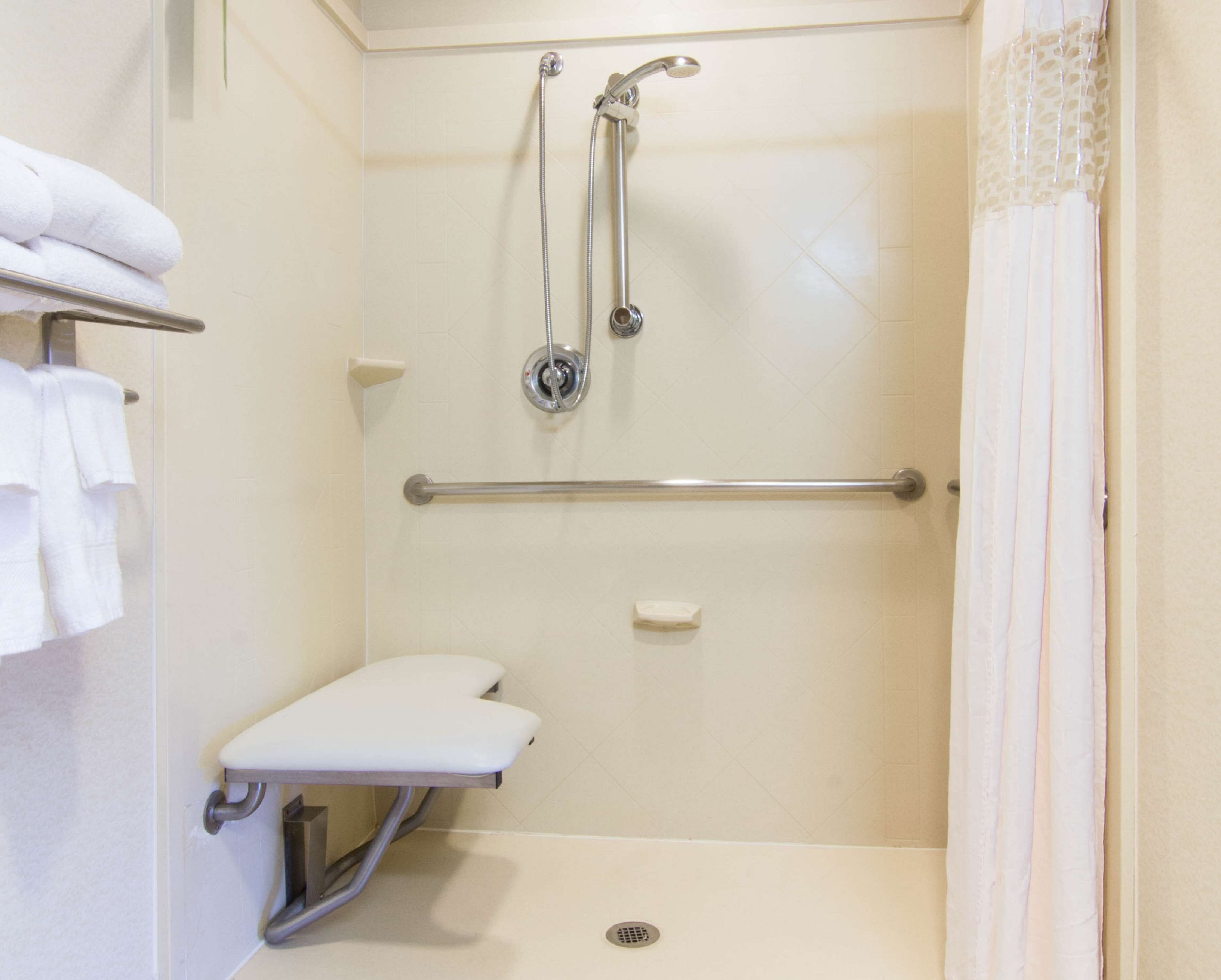 studio, accessible, non smoking (roll in shower) | bathroom | combined shower/bathtub, free toiletries, hair dryer, towels