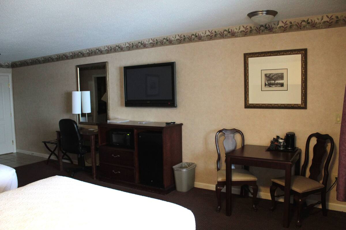 Habitación de hotel con una cama, un escritorio con computadora, un televisor, una silla y un cuadro en la pared.
