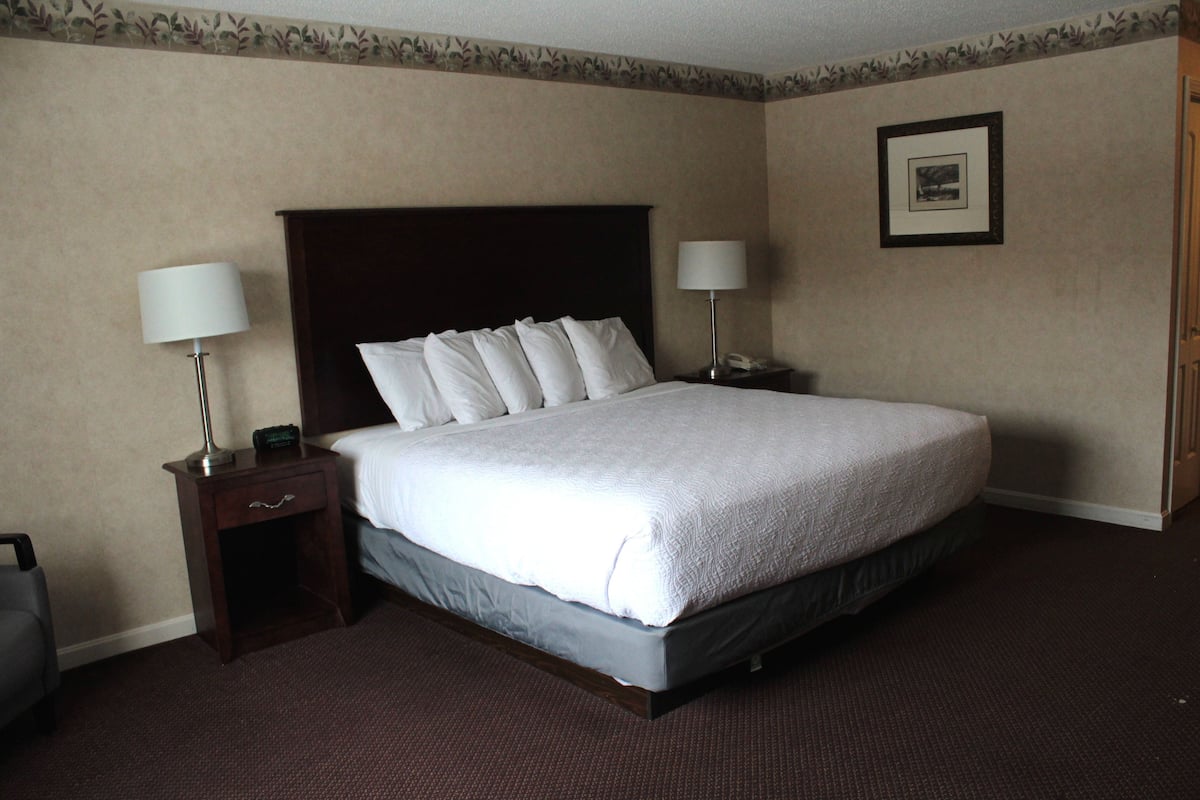 Premium Room, 1 King Bed, Non Smoking | Desk, blackout drapes, iron/ironing board, rollaway beds