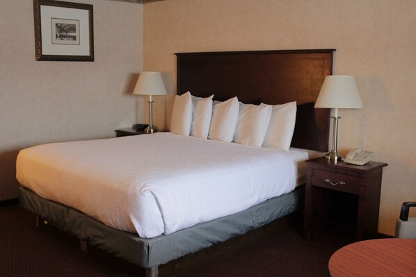 Superior Room, 1 King Bed, Non Smoking