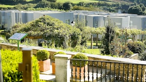 A residential area with modern houses, a stone pathway, and lush greenery.