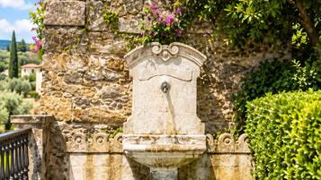 Una fuente de piedra con agua brotando del centro, rodeada de follaje y un muro de piedra.
