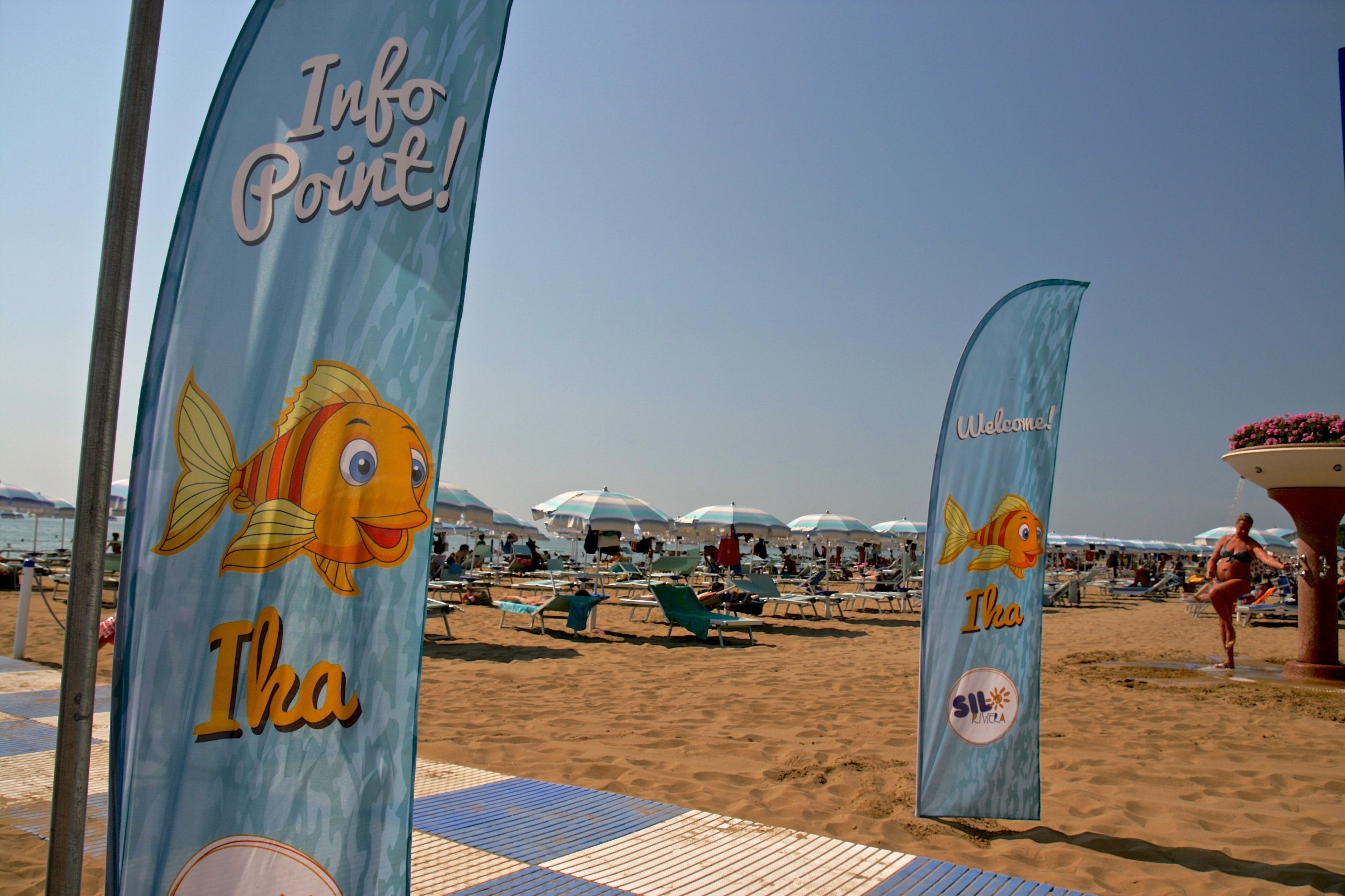 A beach with flags, umbrellas, and beach chairs.