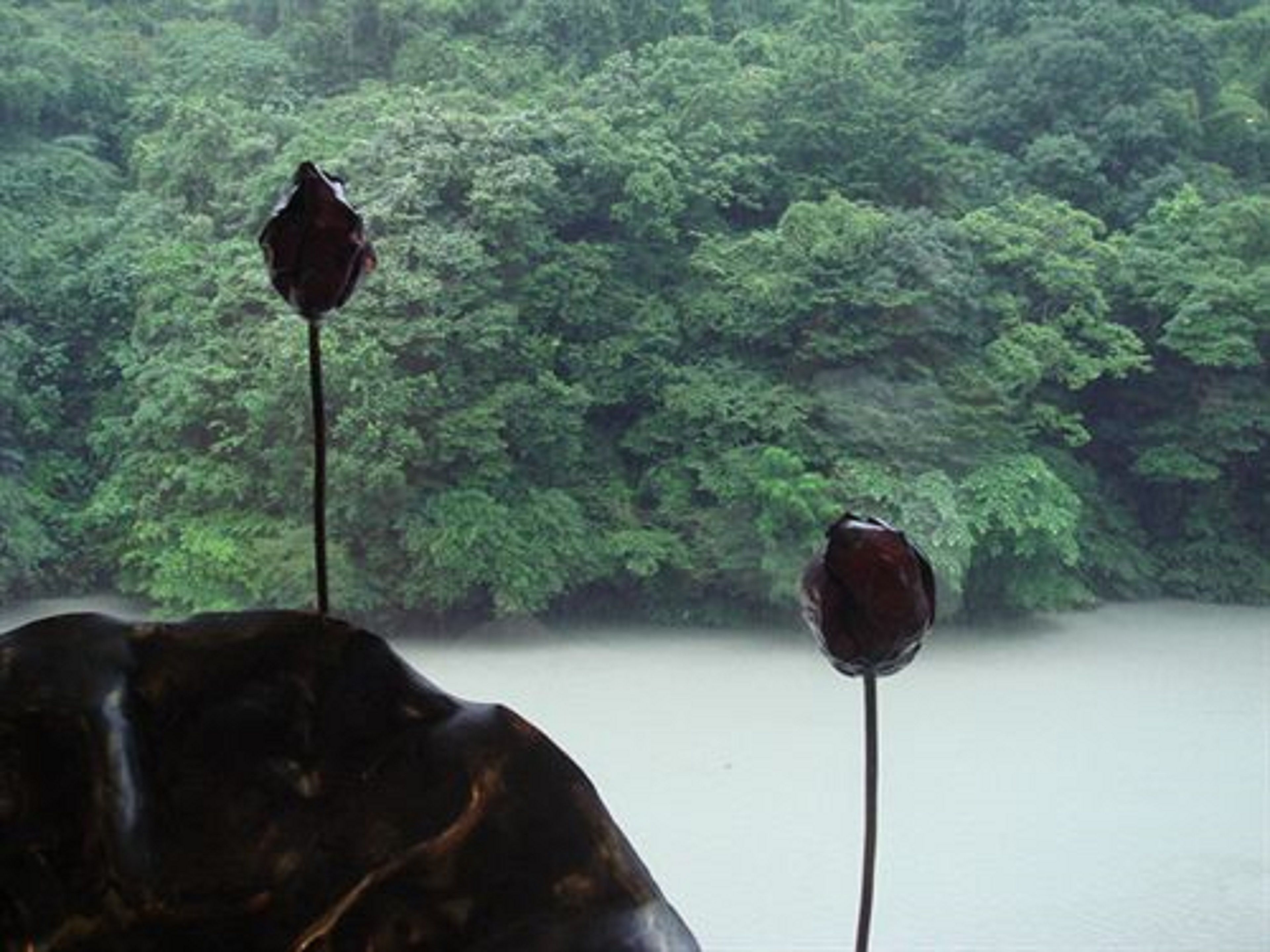 A sculpture of a dark, textured figure with two protruding elements, set against a backdrop of dense green foliage.