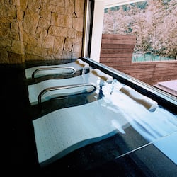 Sauna, sources chaudes/minérales, soins corporels, soins d'aromathérapie