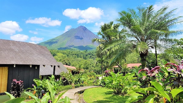 Bungalow, vue jardin | Vue sur le jardin