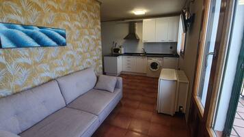 Un espacio habitable pequeño con sofá, lavadora y una kitchenette.