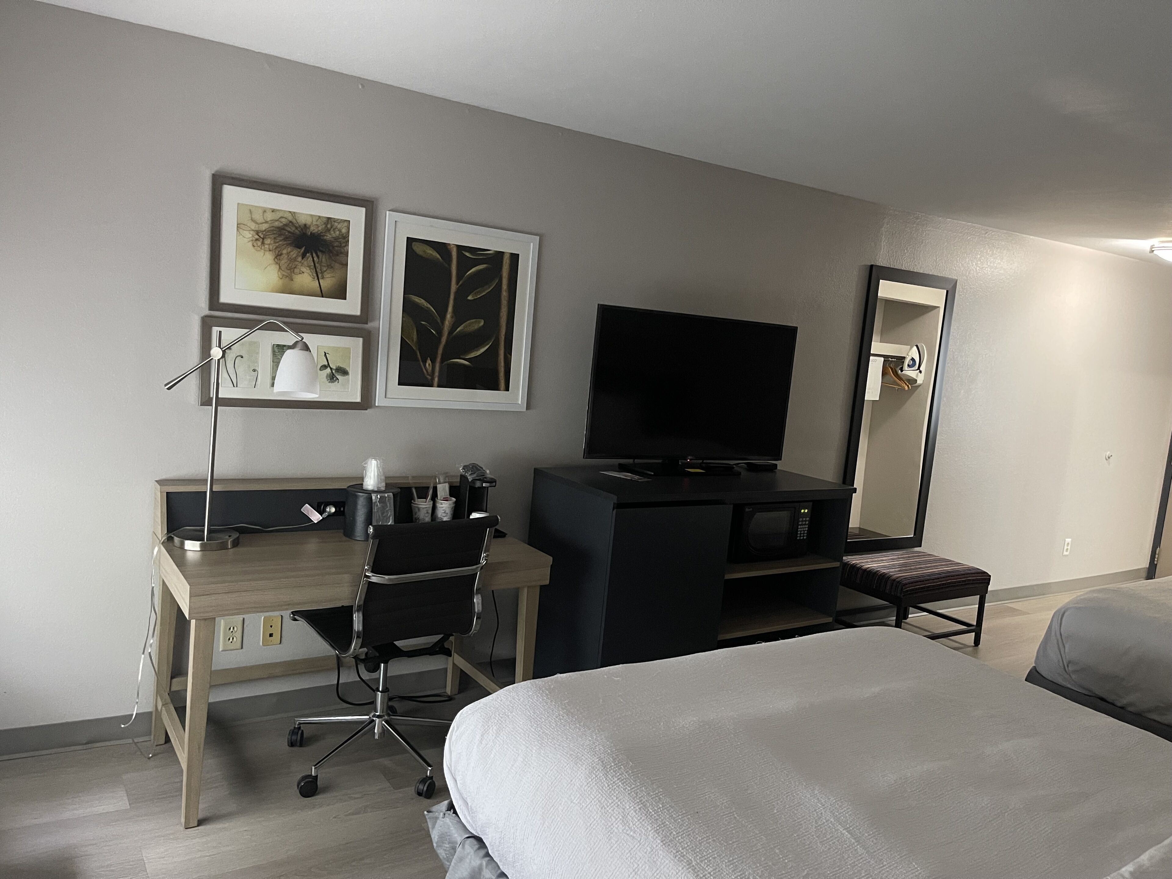 A hotel room with a bed, a desk with a chair, a television, a microwave, and a mirror.