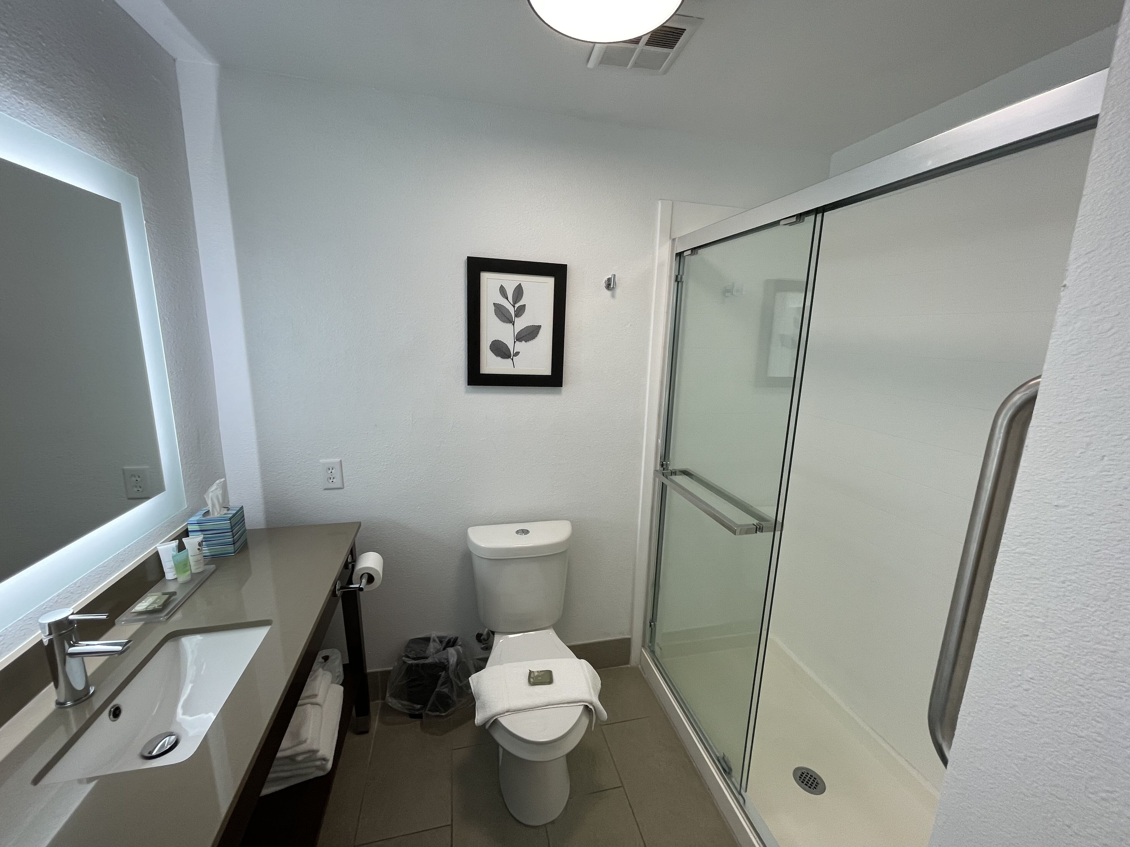 A modern bathroom with a glass shower enclosure, a white toilet, and a sink with a mirror.