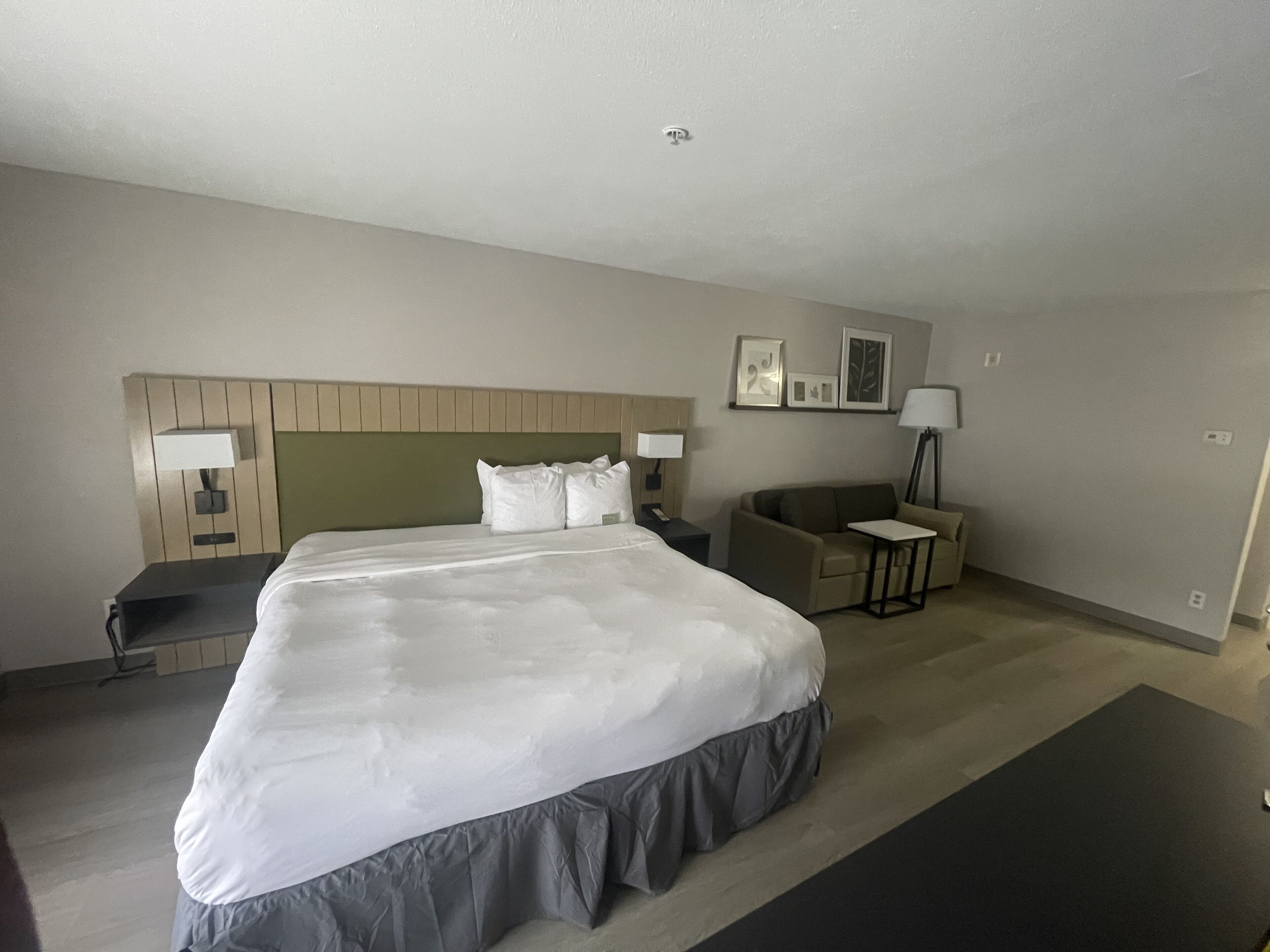 A hotel room with a large bed, a bedside table with a lamp, a small sofa, and a desk with a chair.