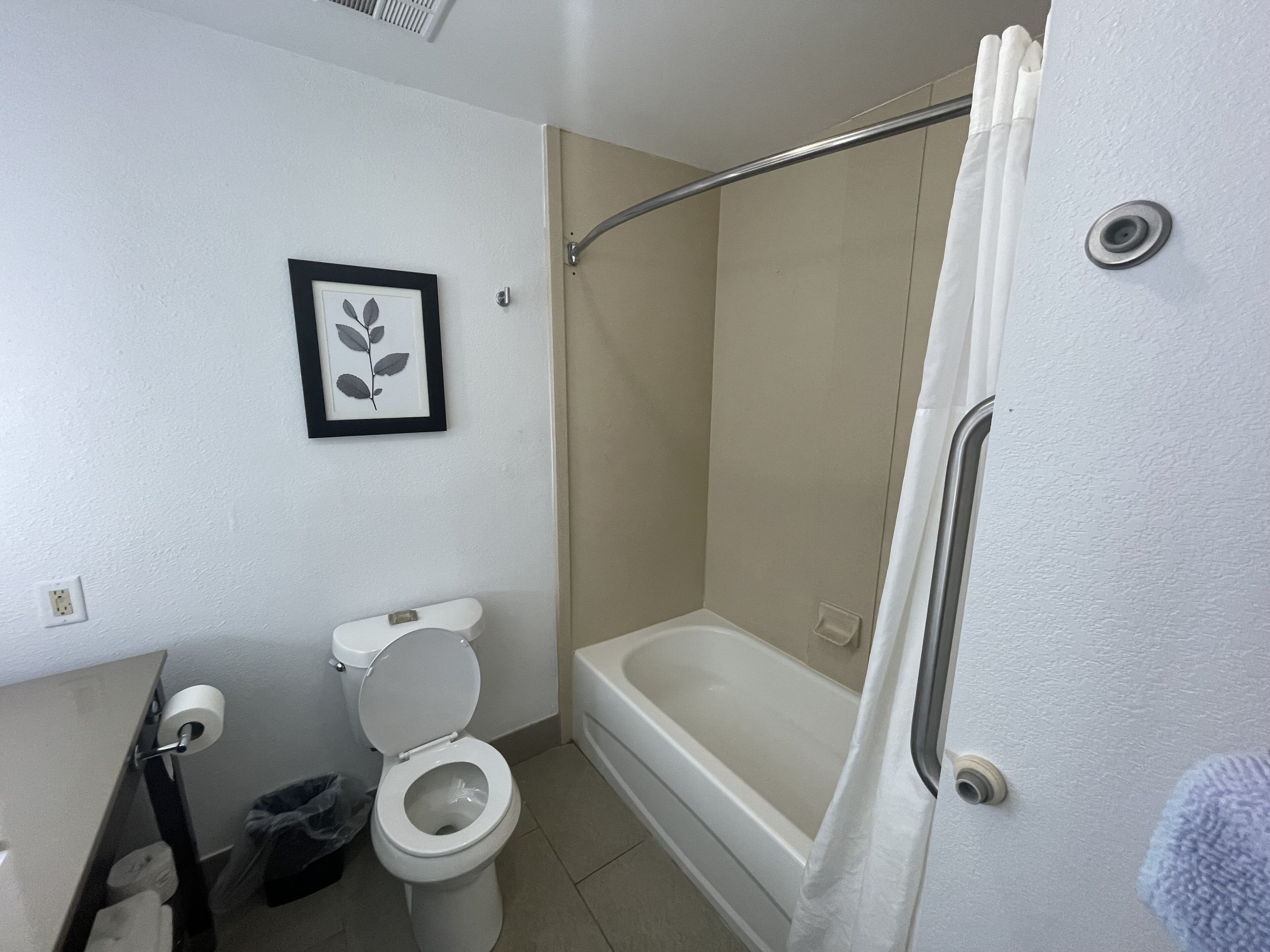 A bathroom with a toilet, a framed picture on the wall, a shower curtain, and a bathtub.