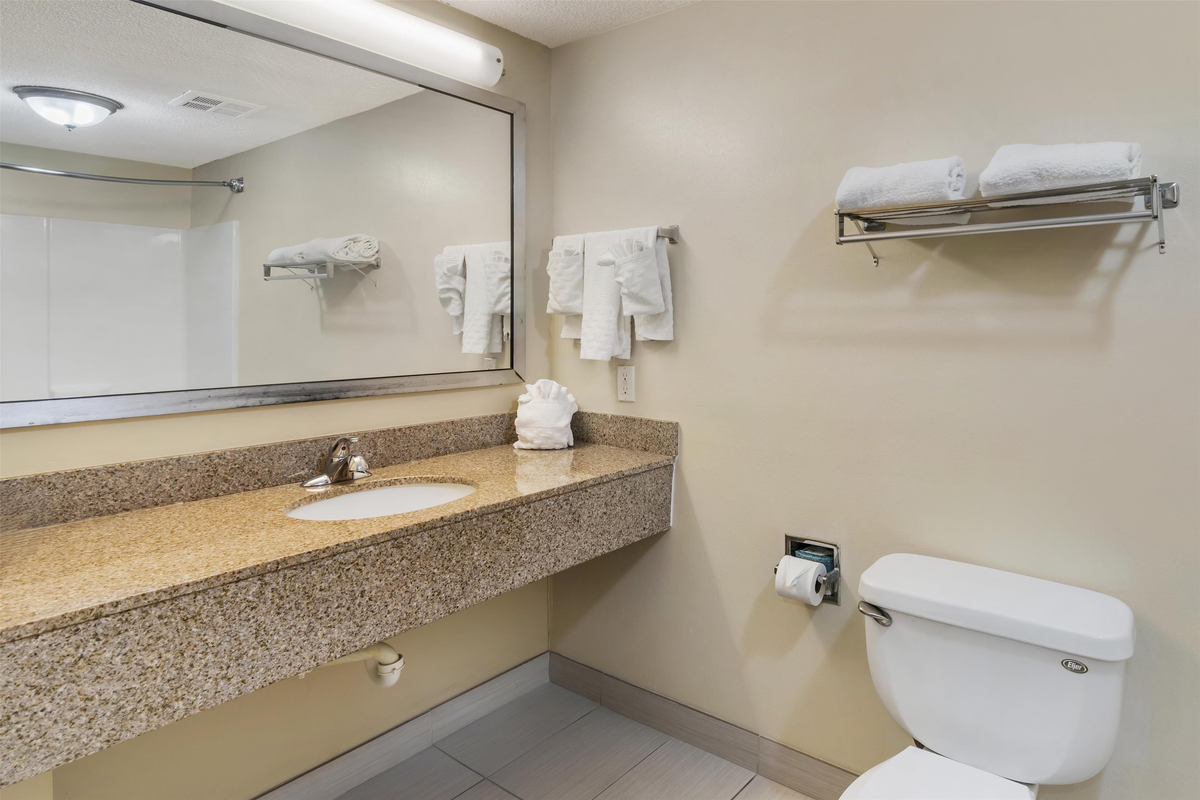 suite, 1 king bed with sofa bed, non smoking, refrigerator & microwave (with sofabed) | egyptian cotton sheets, down duvets, pillow-top beds, desk