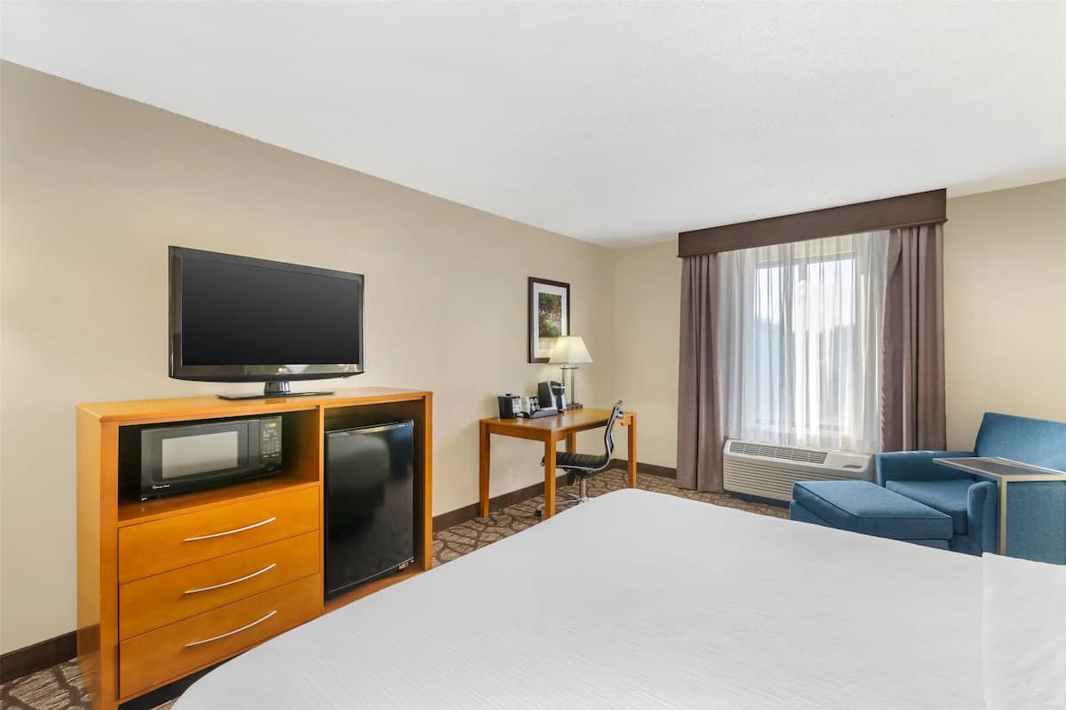 Standard Room, 1 King Bed, Non Smoking, Refrigerator & Microwave
