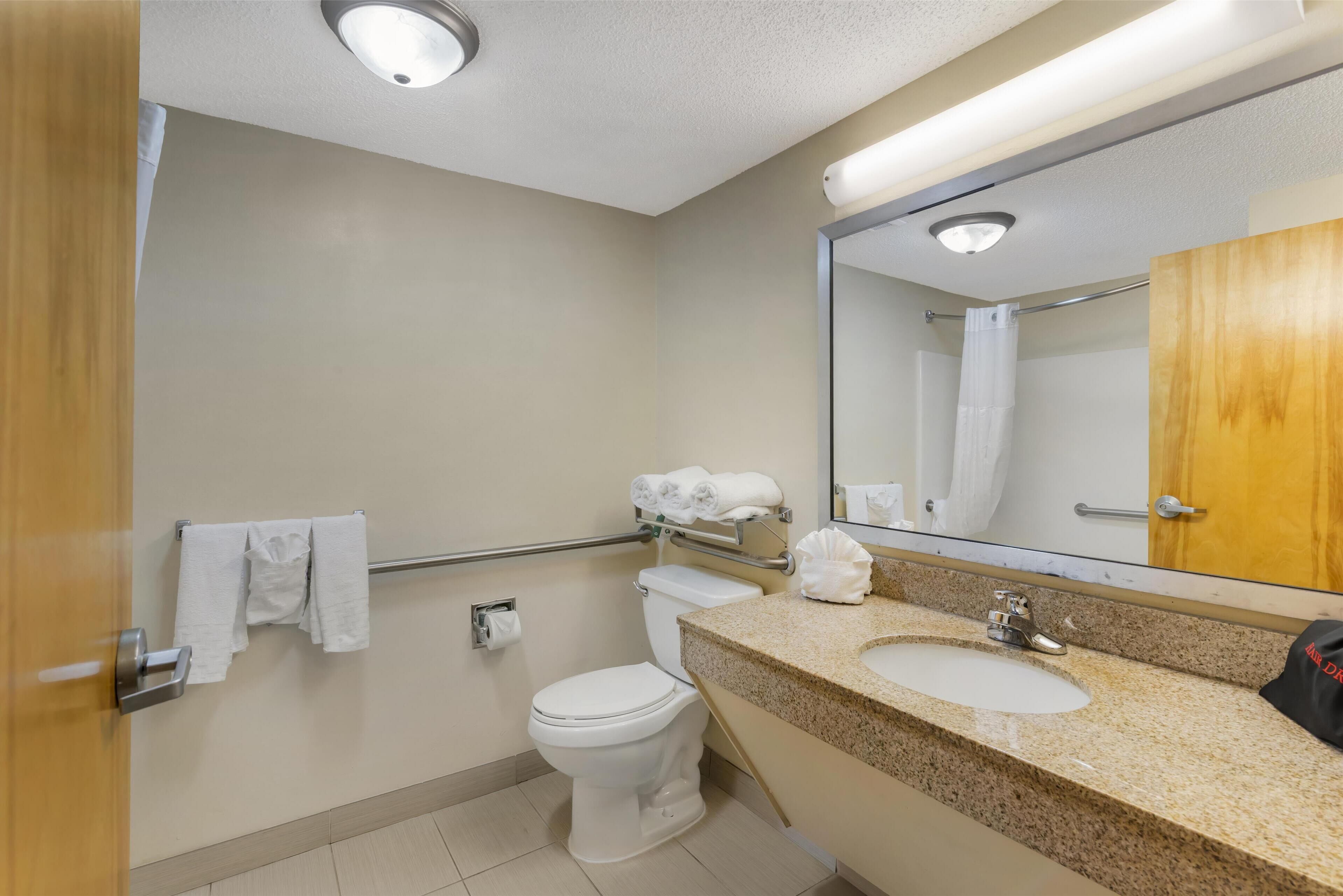 suite, 1 king bed with sofa bed, accessible, non smoking (bathtub) | egyptian cotton sheets, down duvets, pillow-top beds, desk