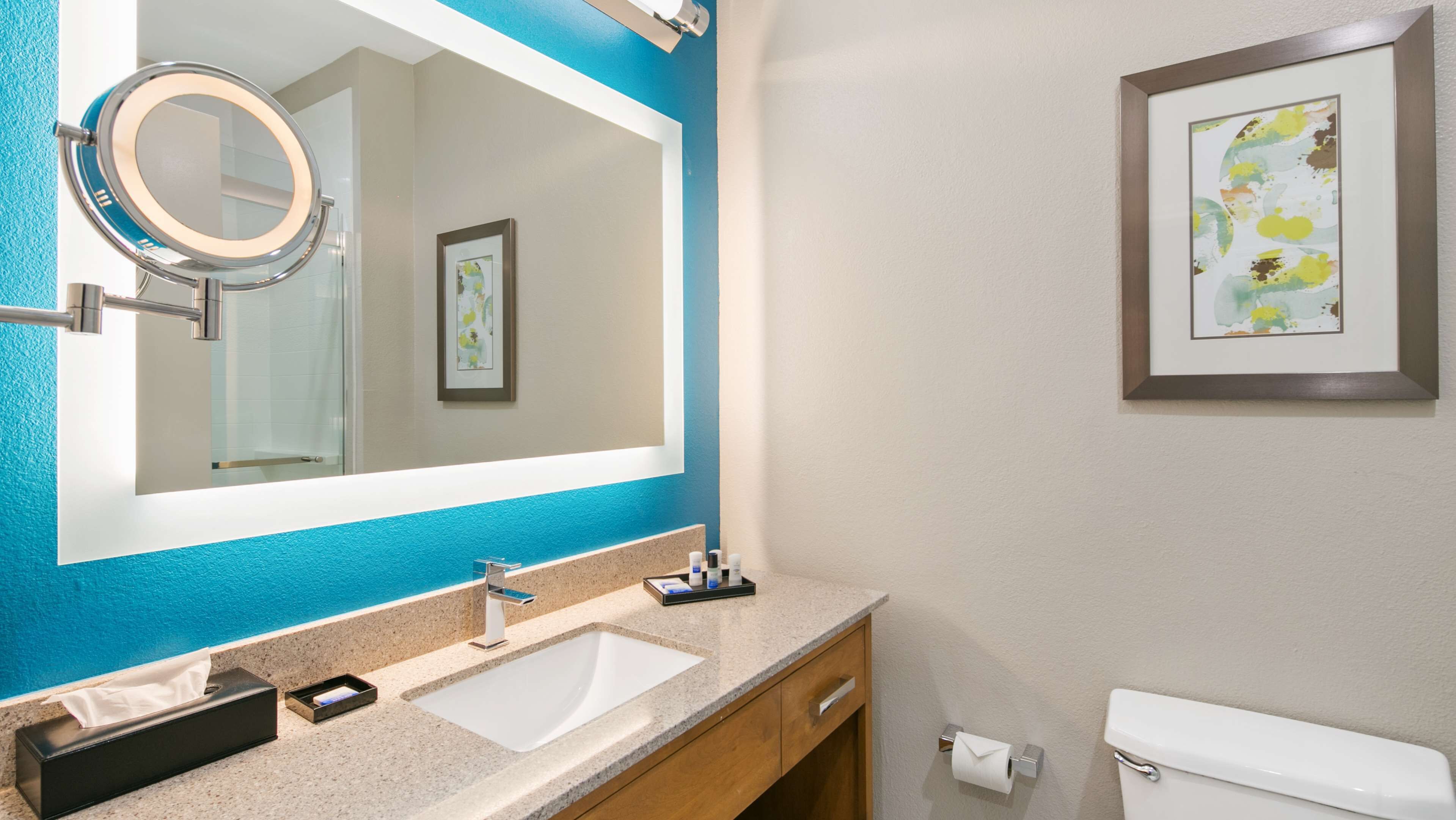 suite, 1 king bed, non smoking, refrigerator & microwave (with sofabed) | bathroom | free toiletries, hair dryer, towels, soap