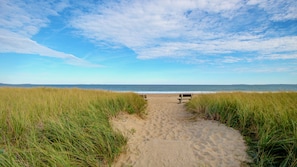 Un sentier sablonneux mène à une plage, de part et d’autre se dressent de hautes herbes, et un banc est placé au milieu.