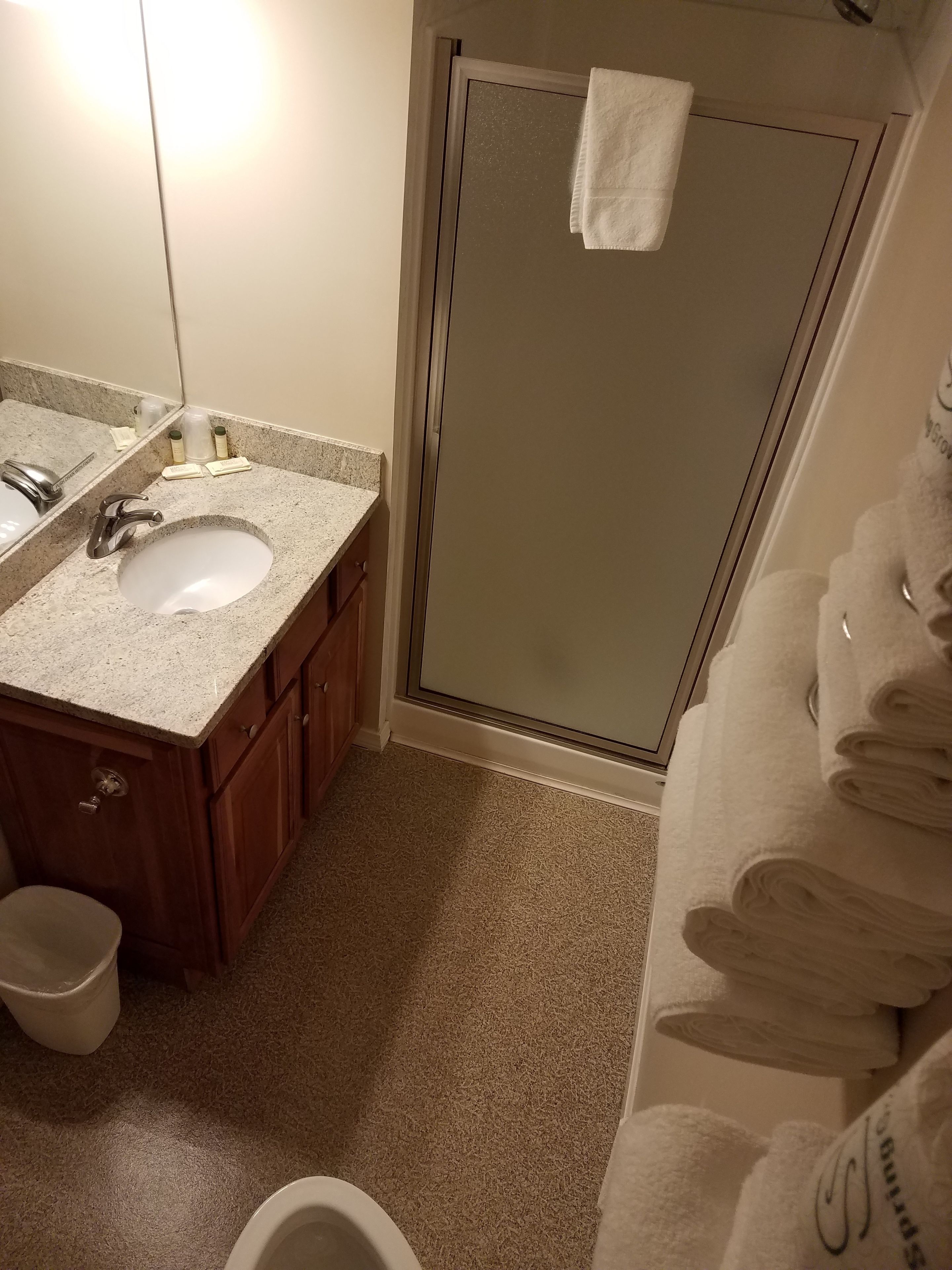 A bathroom with a sink, mirror, and toiletries. There is a shower area with a glass door and a towel rack.