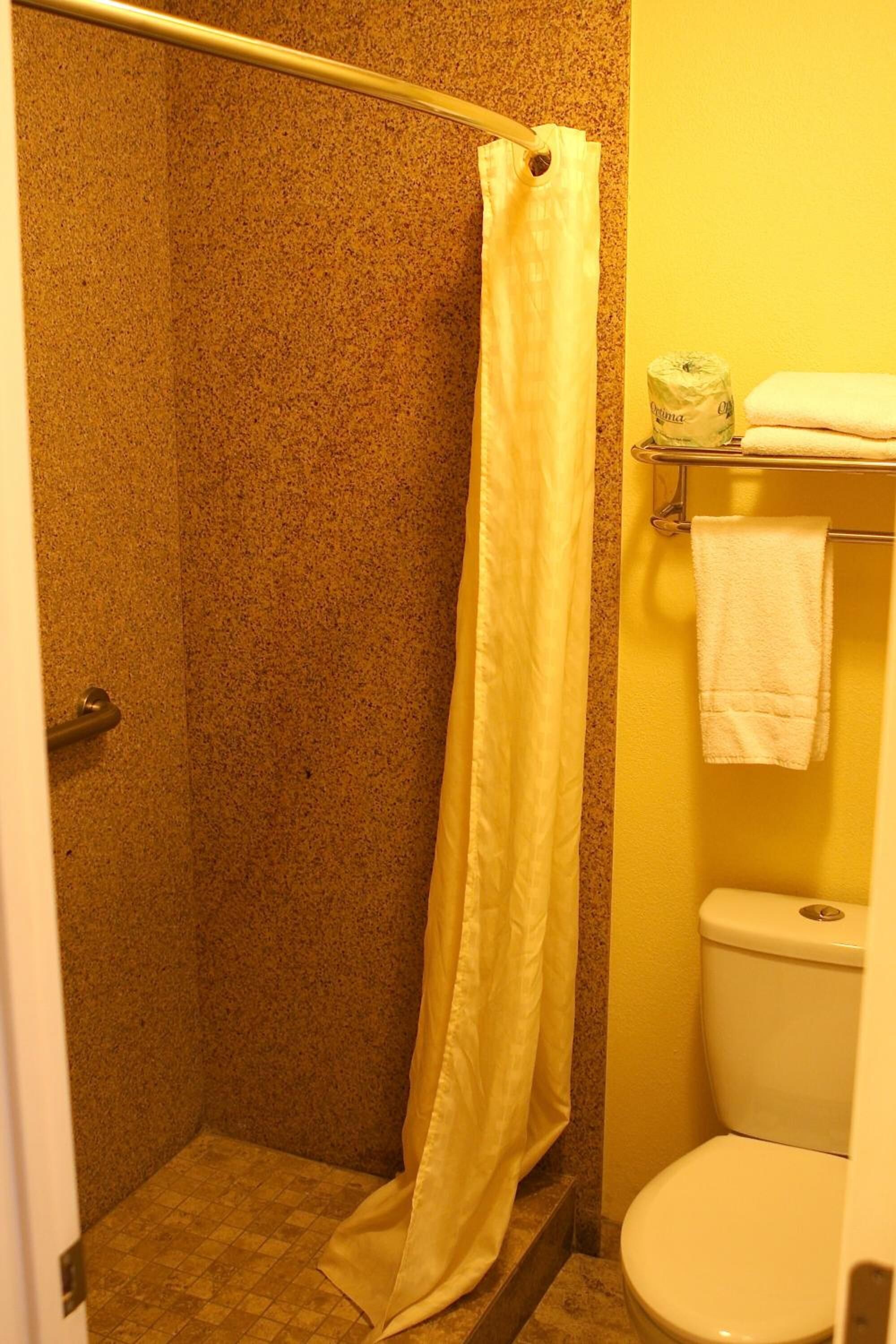 Ein Badezimmer mit Dusche, Toilette und Handtuchhalter.