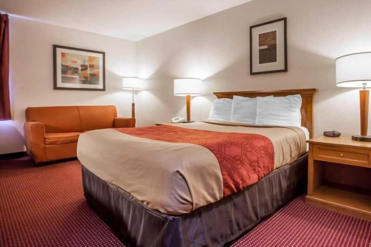 Une chambre d’hôtel avec un lit, un canapé, deux lampes de chevet, un tableau encadré au mur et un sol recouvert de moquette.