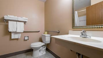Un bagno con il water, un lavandino, un portasciugamani e uno specchio.