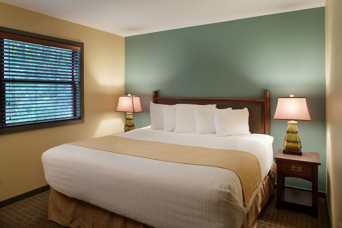 A hotel room with a large bed, two bedside lamps, a window with blinds, and a green wall.