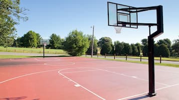 Basketball court
