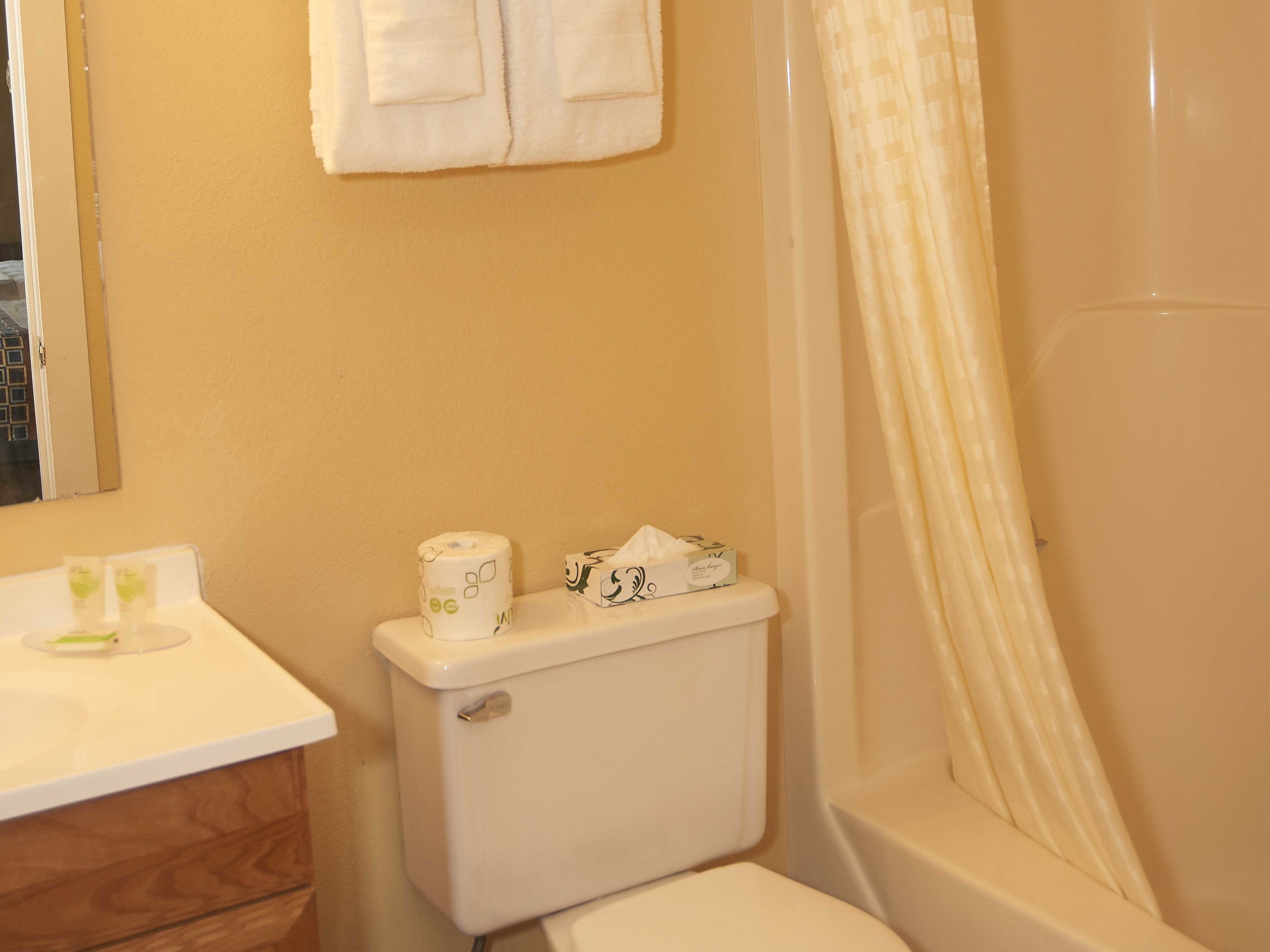 Un baño con inodoro, lavamanos con espejo y cortina de ducha.