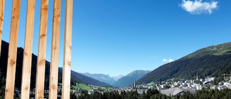 Vista desde la habitación