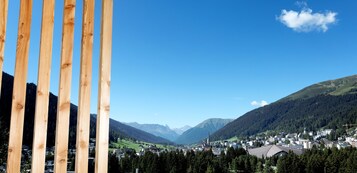 Vistas desde la habitación
