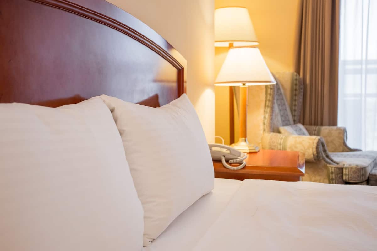 family suite | 1 bedroom, premium bedding, down duvets, pillow-top beds