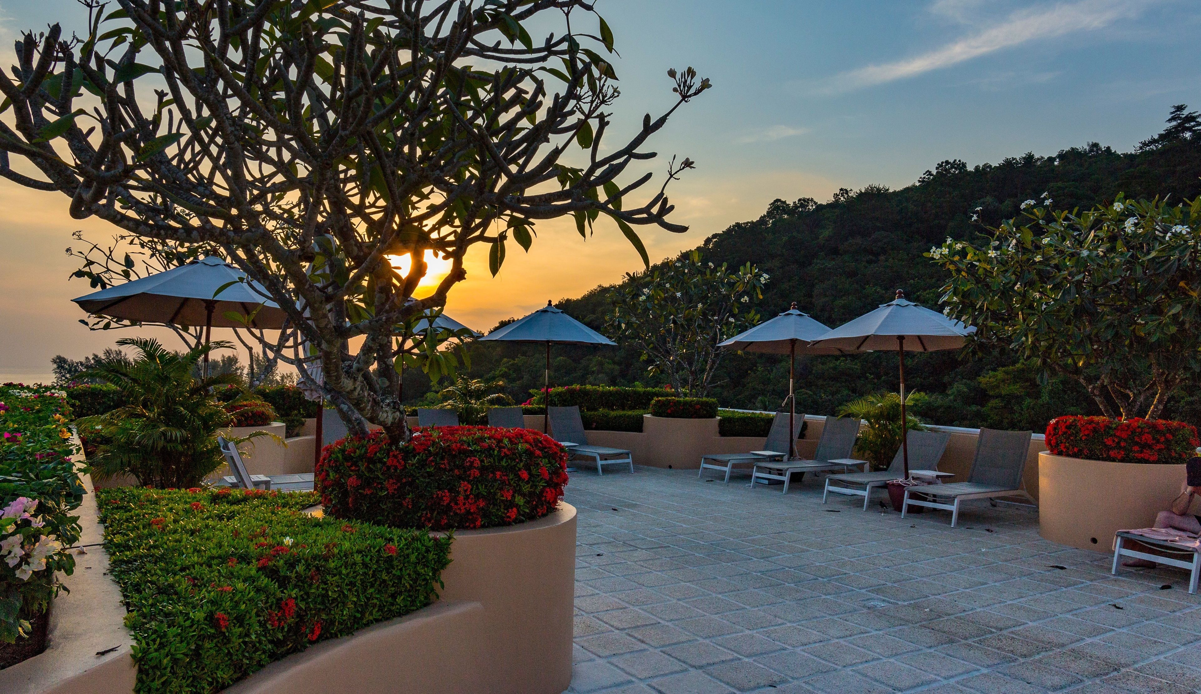 Outdoor pool, pool umbrellas, pool loungers