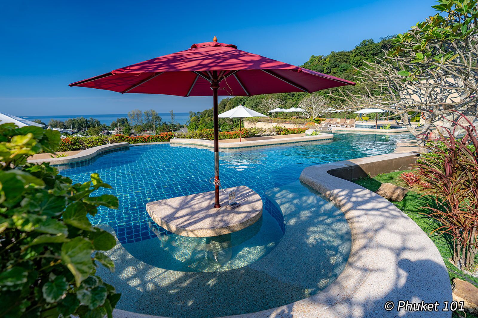 Outdoor pool, pool umbrellas, pool loungers