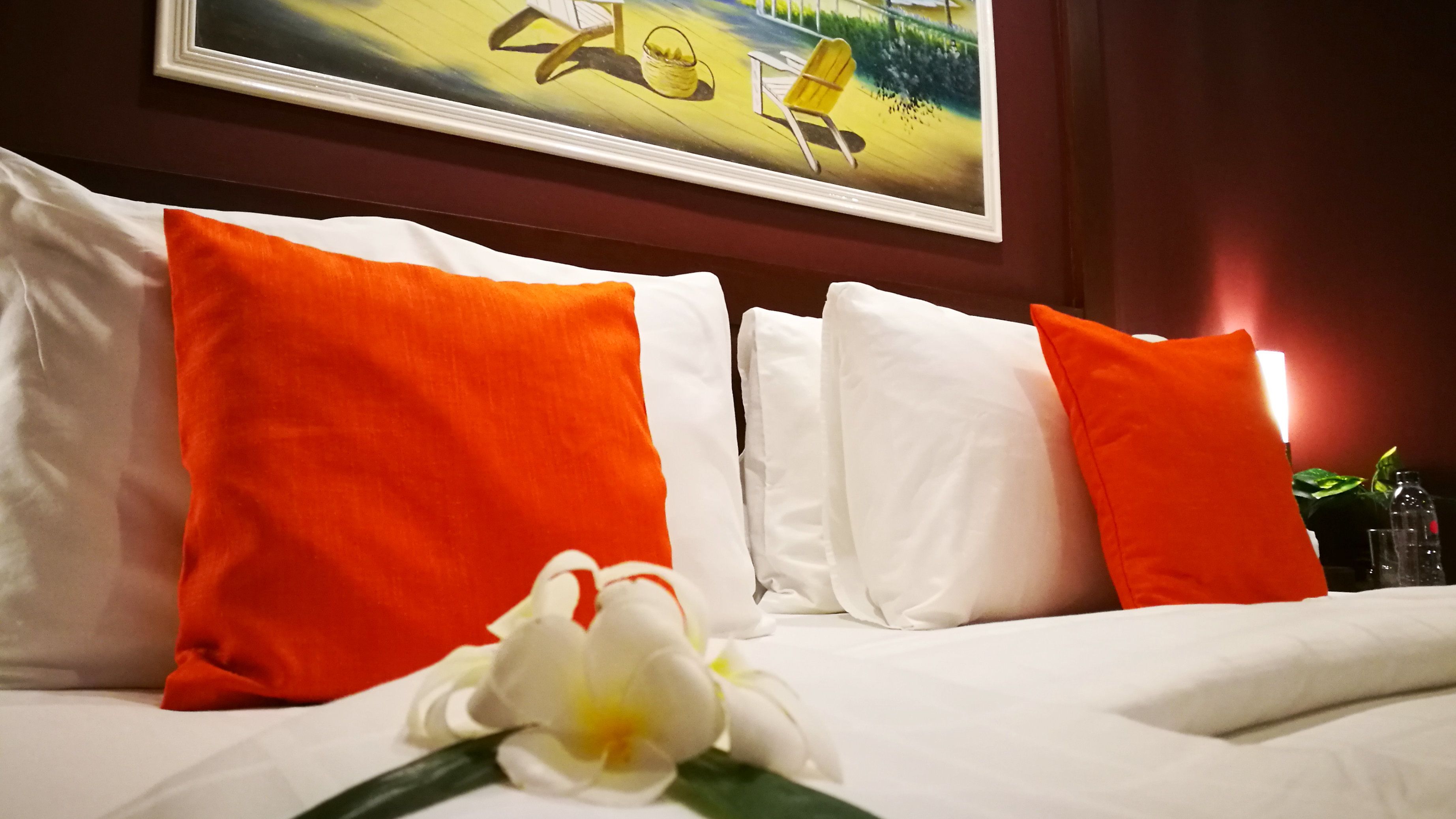 Photo - Pacific Club Resort