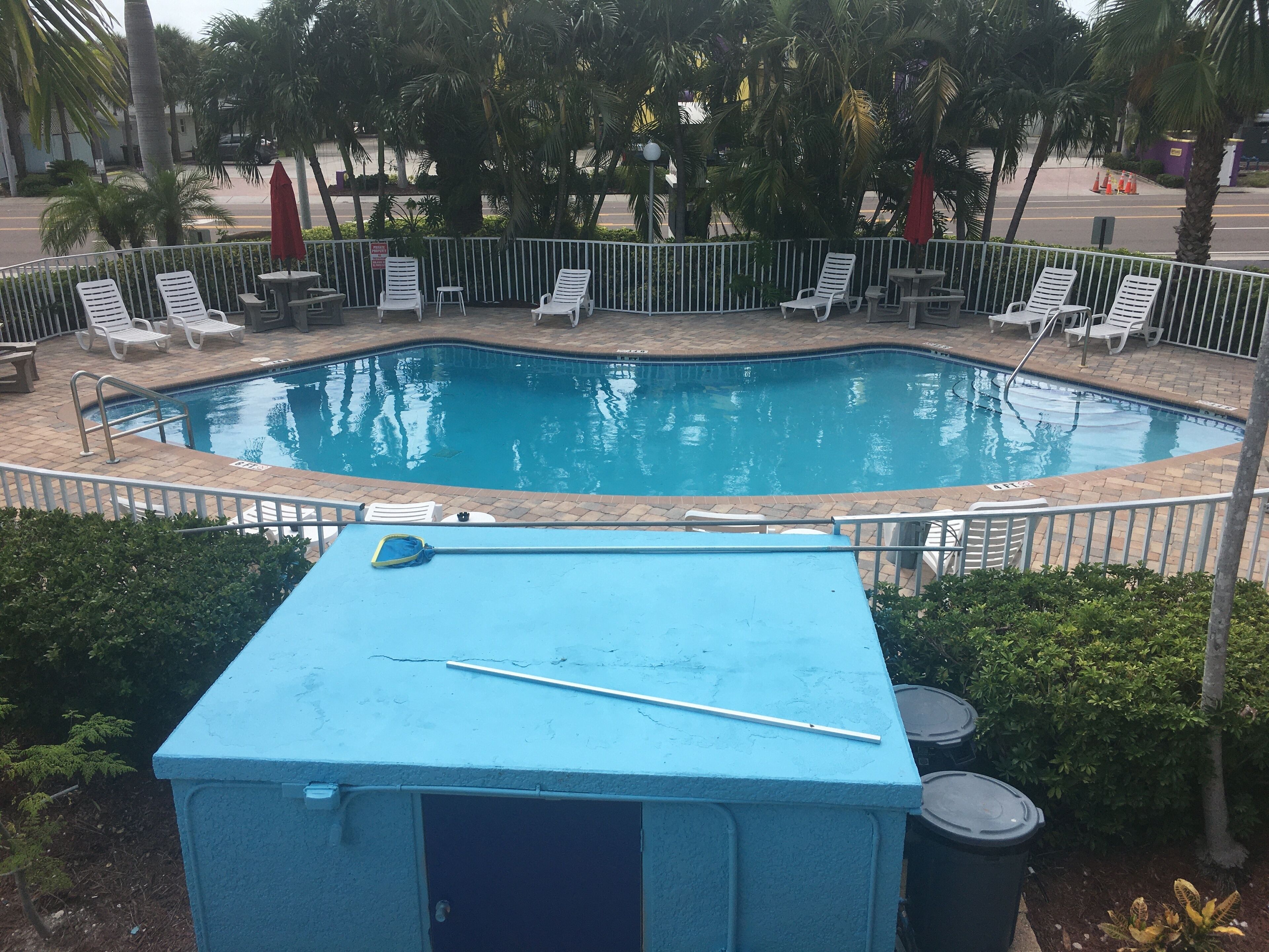 A swimming pool with white lounge chairs and a blue utility shed.