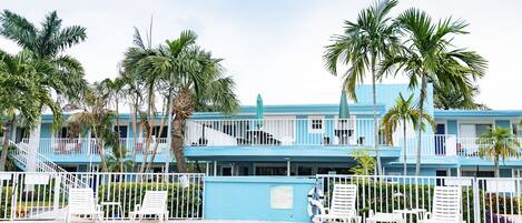 A hotel with a pool, white lounge chairs, and palm trees.