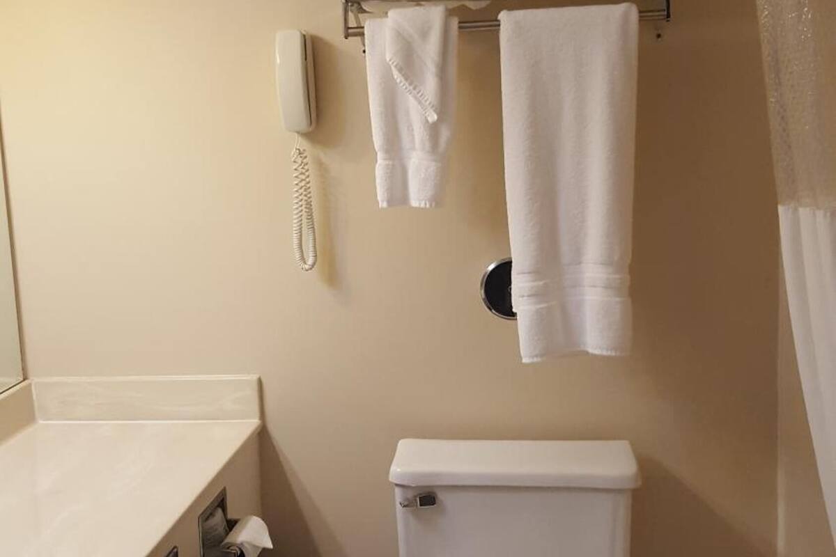 free toiletries, hair dryer, towels, soap