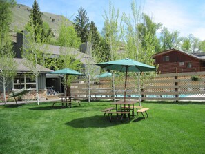 Área de parrillas y picnic